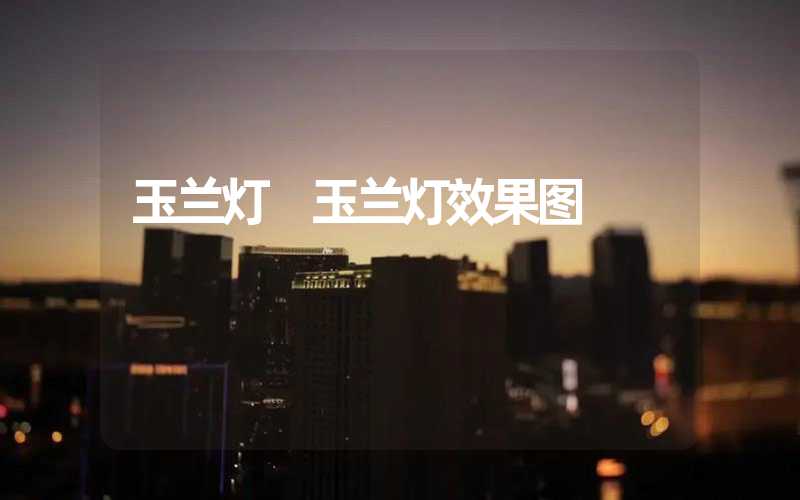 玉兰灯 玉兰灯效果图